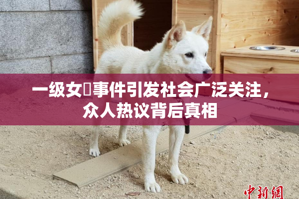 一级女婬事件引发社会广泛关注，众人热议背后真相