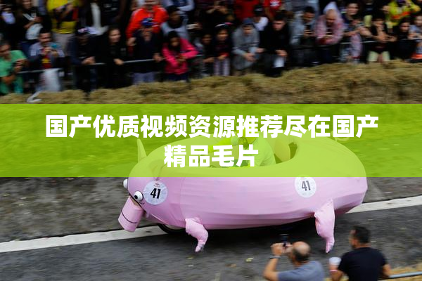 国产优质视频资源推荐尽在国产精品毛片