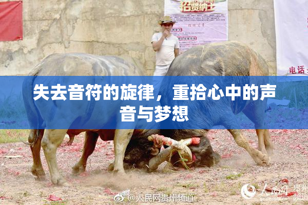 失去音符的旋律，重拾心中的声音与梦想