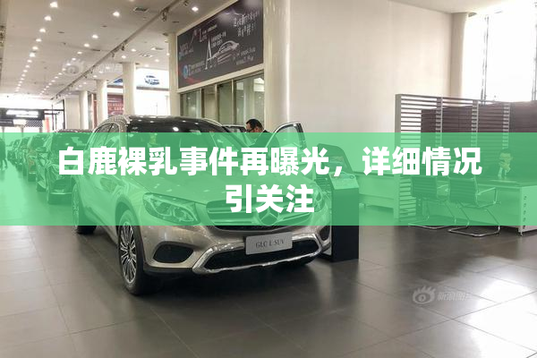 白鹿裸乳事件再曝光，详细情况引关注