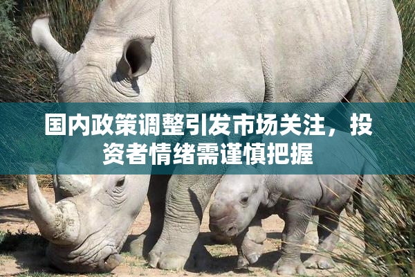国内政策调整引发市场关注，投资者情绪需谨慎把握