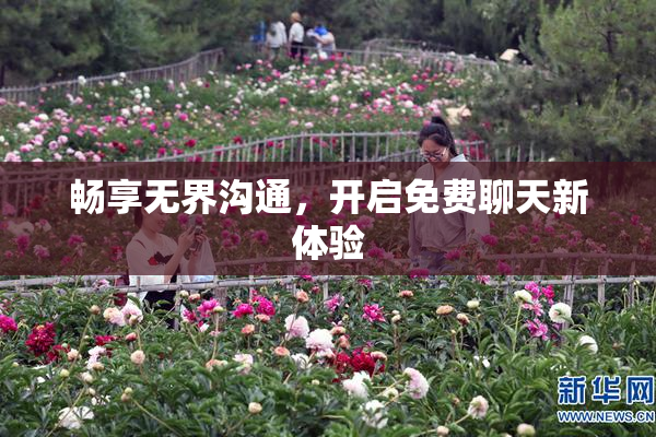 畅享无界沟通，开启免费聊天新体验