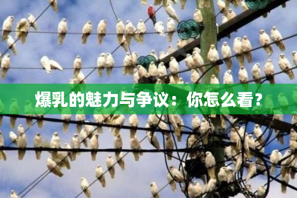 爆乳的魅力与争议：你怎么看？