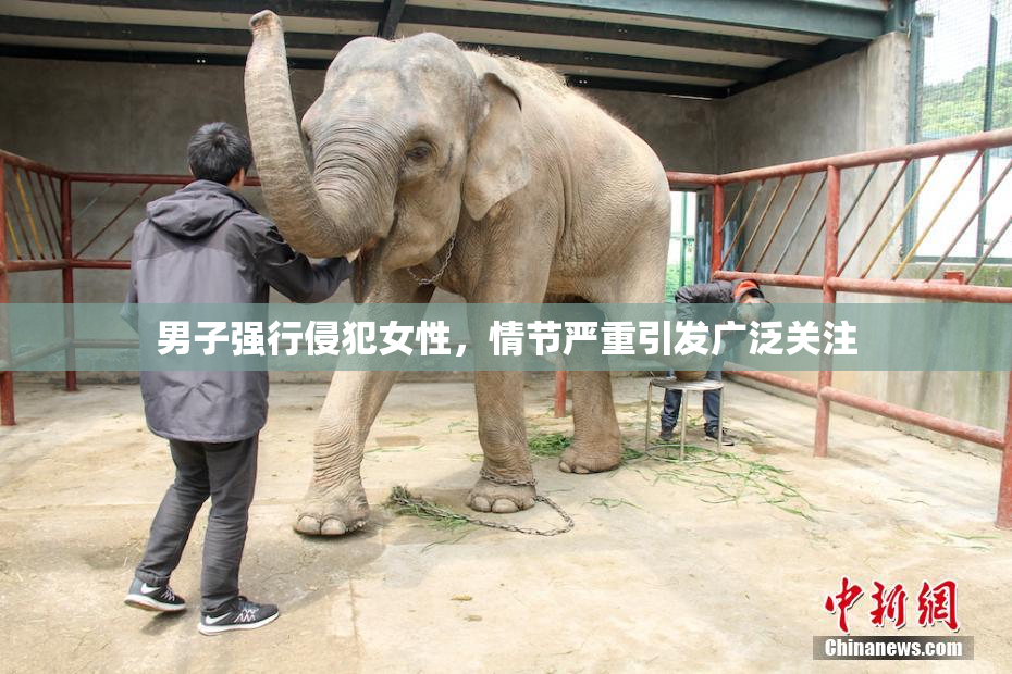 男子强行侵犯女性，情节严重引发广泛关注