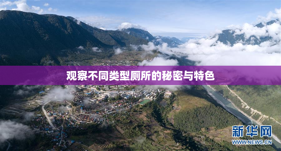 观察不同类型厕所的秘密与特色