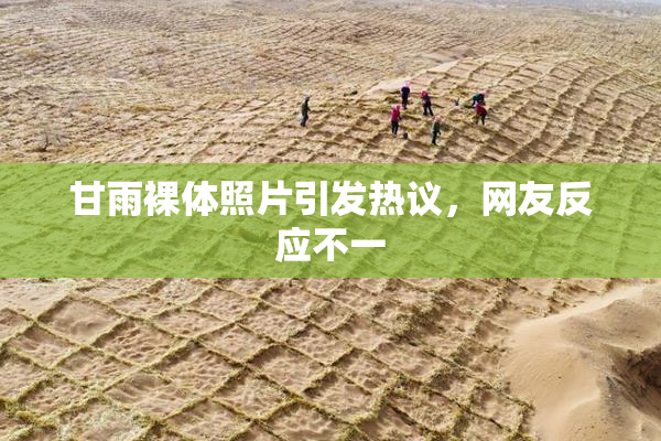 甘雨裸体照片引发热议，网友反应不一