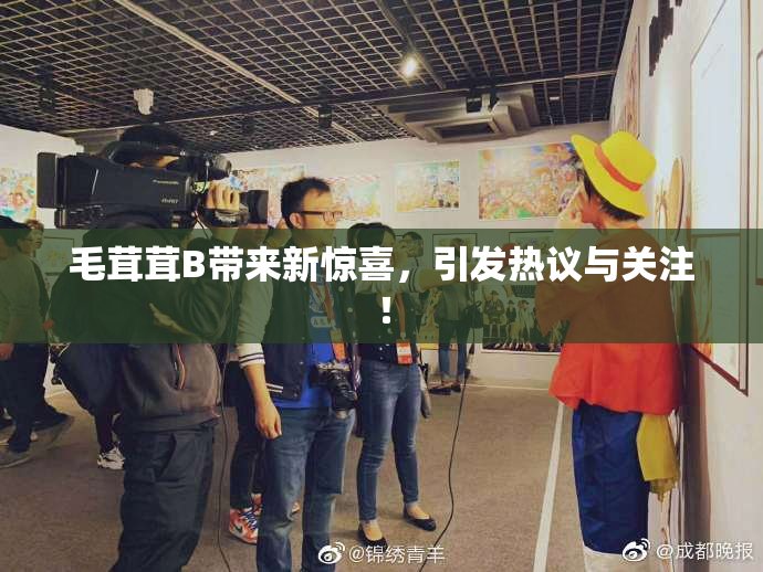 毛茸茸B带来新惊喜，引发热议与关注！