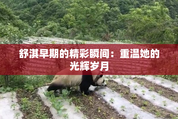 舒淇早期的精彩瞬间：重温她的光辉岁月