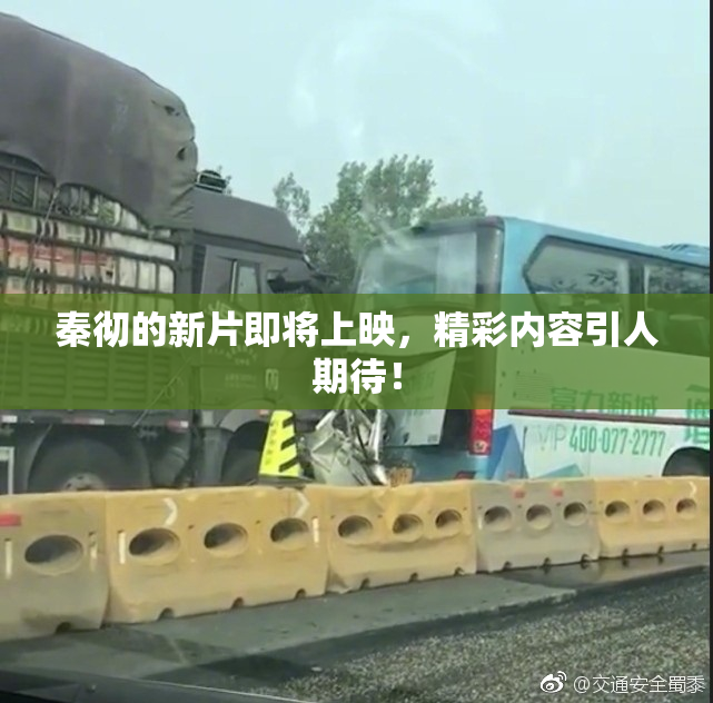 秦彻的新片即将上映，精彩内容引人期待！