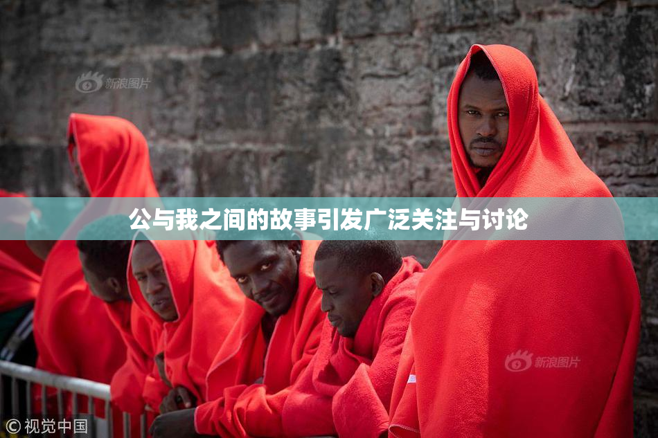 公与我之间的故事引发广泛关注与讨论