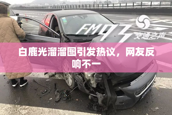 白鹿光溜溜图引发热议，网友反响不一