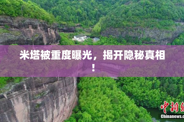 米塔被重度曝光，揭开隐秘真相！