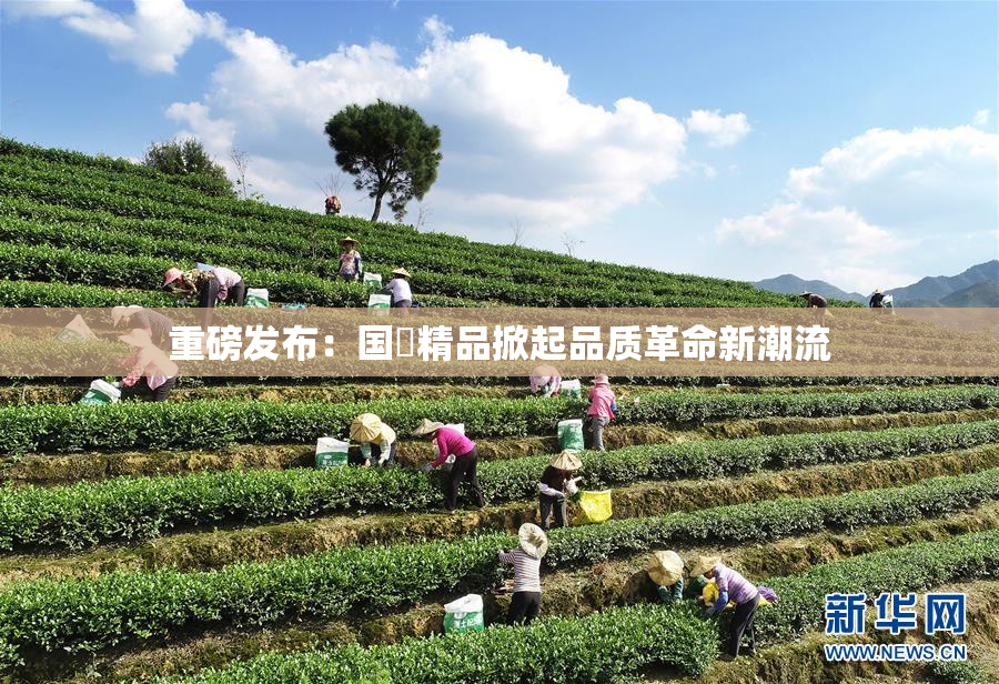 重磅发布：国產精品掀起品质革命新潮流