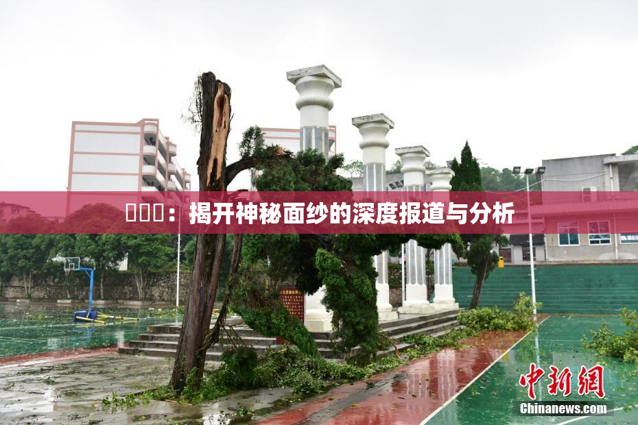 逹葢薾：揭开神秘面纱的深度报道与分析