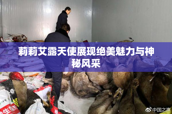 莉莉艾露天使展现绝美魅力与神秘风采