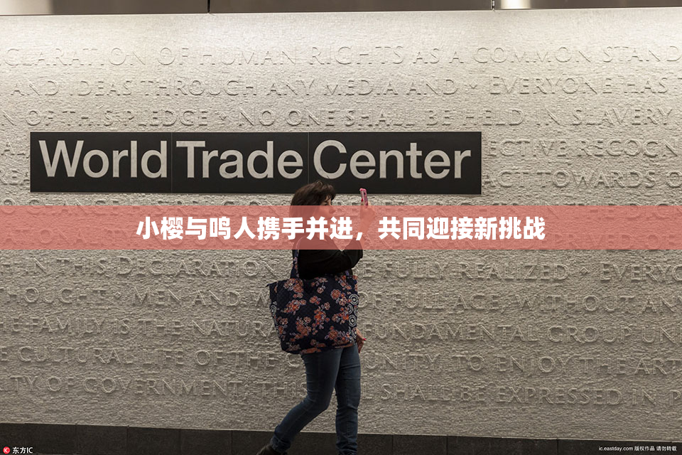 小樱与鸣人携手并进，共同迎接新挑战