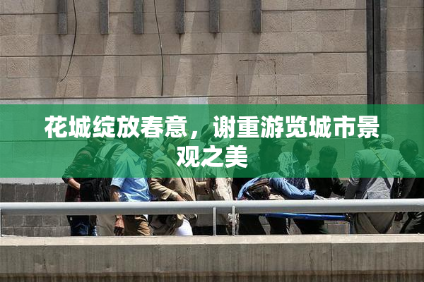 花城绽放春意，谢重游览城市景观之美