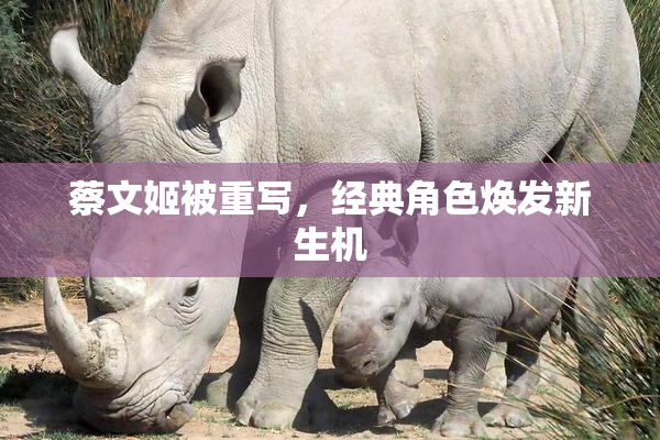 蔡文姬被重写，经典角色焕发新生机