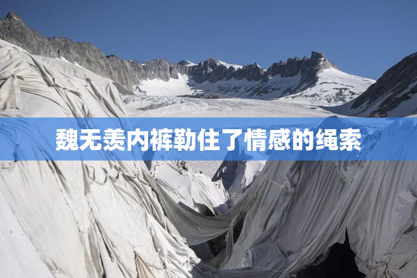 魏无羡内裤勒住了情感的绳索