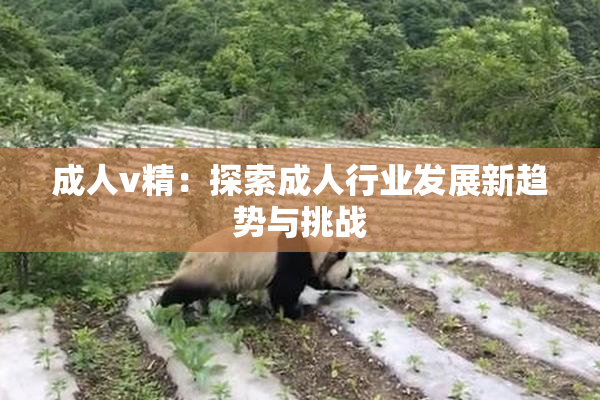 成人v精：探索成人行业发展新趋势与挑战