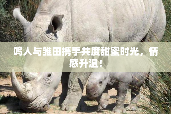 鸣人与雏田携手共度甜蜜时光，情感升温！