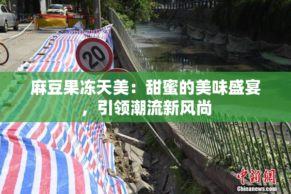 麻豆果冻天美：甜蜜的美味盛宴，引领潮流新风尚