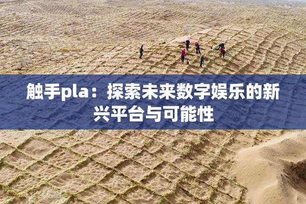 触手pla：探索未来数字娱乐的新兴平台与可能性