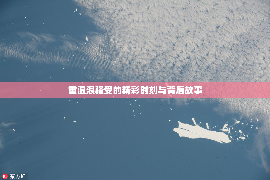 重温浪骚受的精彩时刻与背后故事