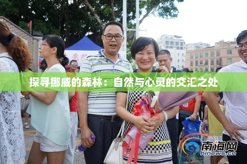 探寻挪威的森林：自然与心灵的交汇之处