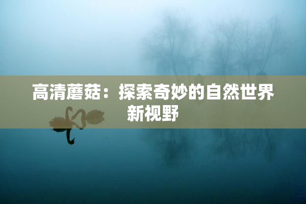 高清蘑菇：探索奇妙的自然世界新视野