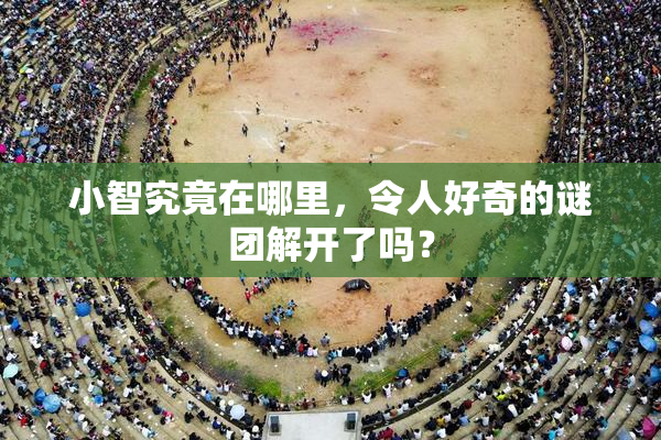 小智究竟在哪里，令人好奇的谜团解开了吗？