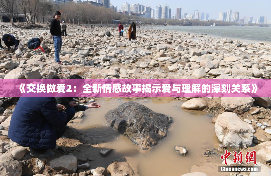 《交换做爰2：全新情感故事揭示爱与理解的深刻关系》