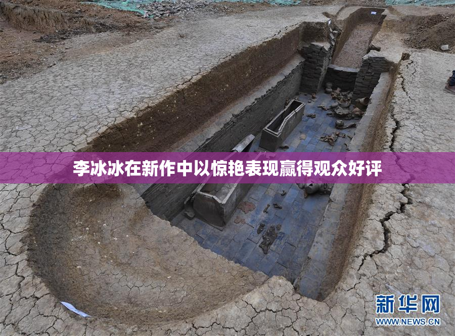 李冰冰在新作中以惊艳表现赢得观众好评