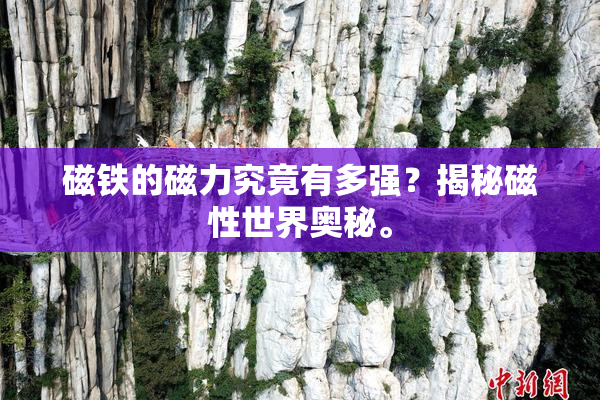 磁铁的磁力究竟有多强？揭秘磁性世界奥秘。