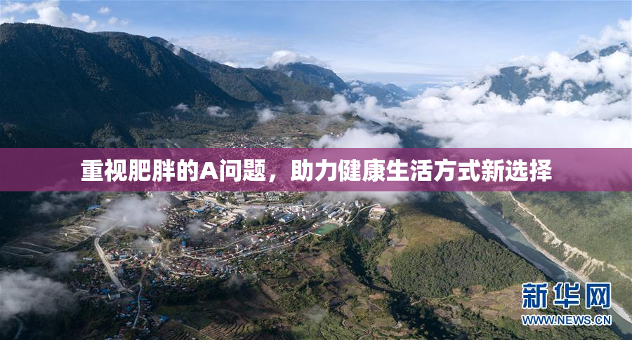 重视肥胖的A问题，助力健康生活方式新选择