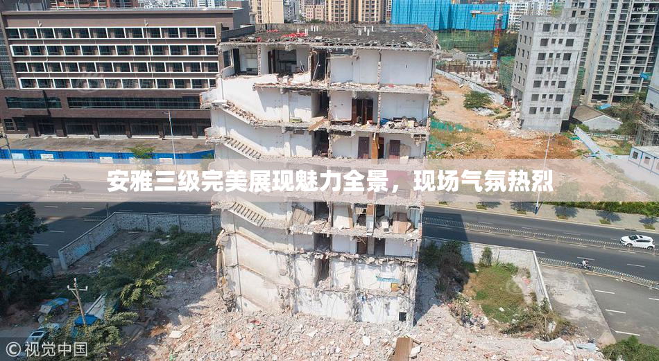 安雅三级完美展现魅力全景，现场气氛热烈