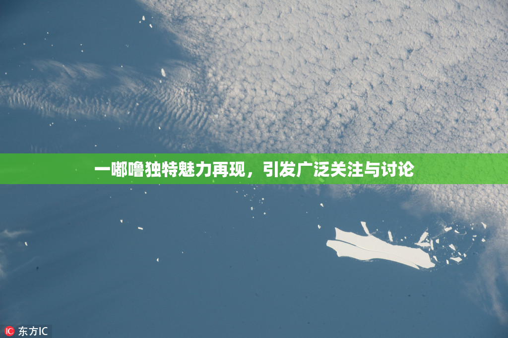 一嘟噜独特魅力再现，引发广泛关注与讨论