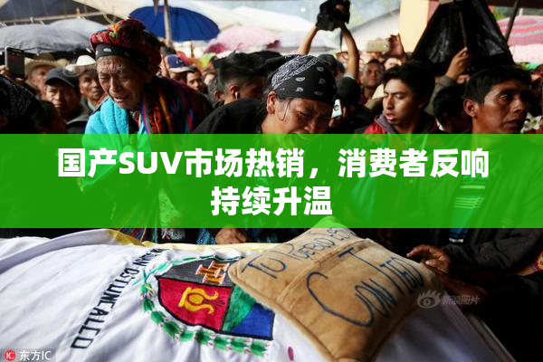 国产SUV市场热销，消费者反响持续升温
