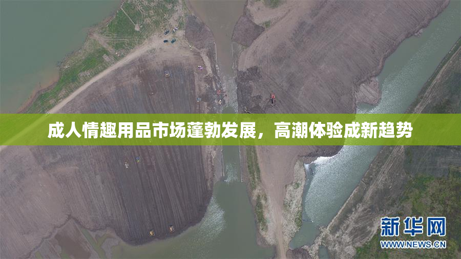 成人情趣用品市场蓬勃发展，高潮体验成新趋势