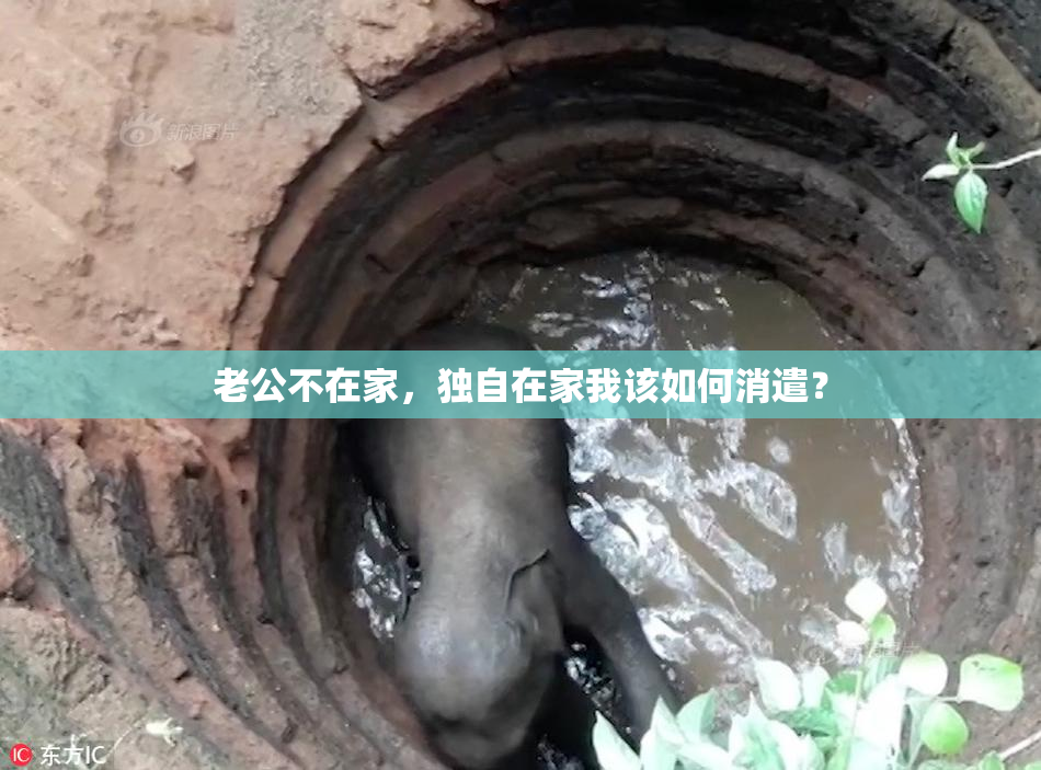 老公不在家，独自在家我该如何消遣？