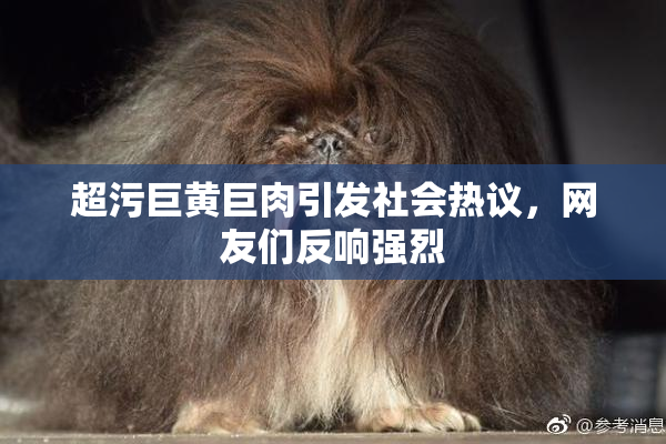 超污巨黄巨肉引发社会热议，网友们反响强烈