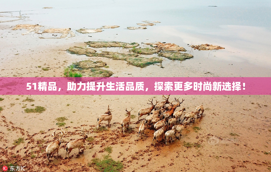 51精品，助力提升生活品质，探索更多时尚新选择！