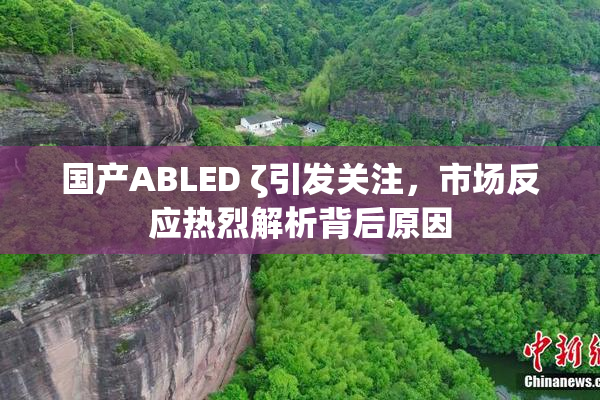 国产ABLED ζ引发关注，市场反应热烈解析背后原因