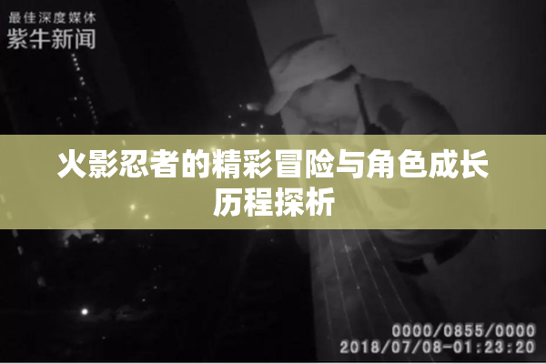 火影忍者的精彩冒险与角色成长历程探析