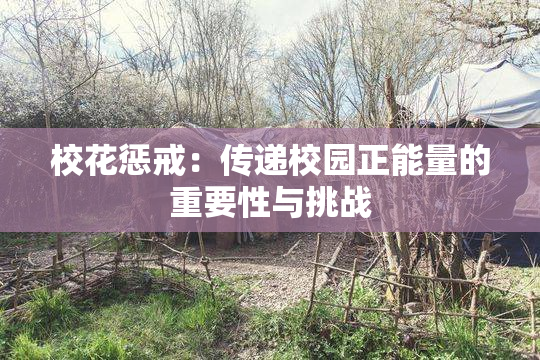 校花惩戒：传递校园正能量的重要性与挑战