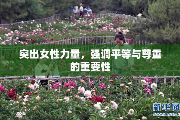 突出女性力量，强调平等与尊重的重要性
