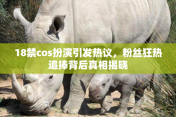 18禁cos扮演引发热议，粉丝狂热追捧背后真相揭晓