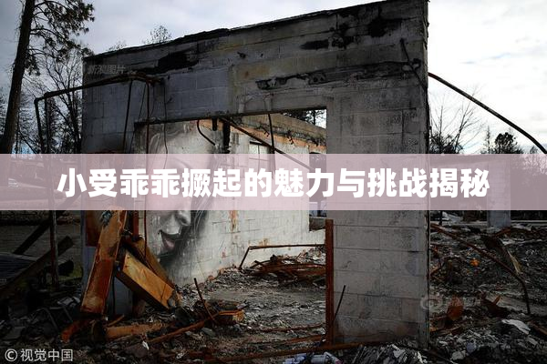 小受乖乖撅起的魅力与挑战揭秘