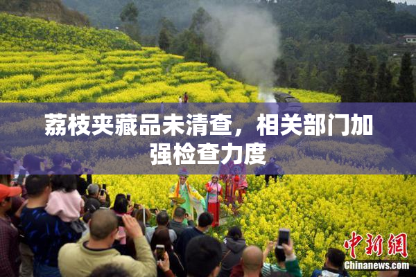 荔枝夹藏品未清查，相关部门加强检查力度