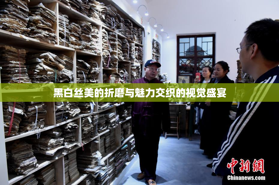 黑白丝美的折磨与魅力交织的视觉盛宴